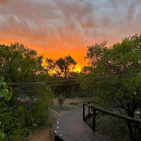 Out In Africa Wildlife Lodge Hammanskraal Kültér fotó