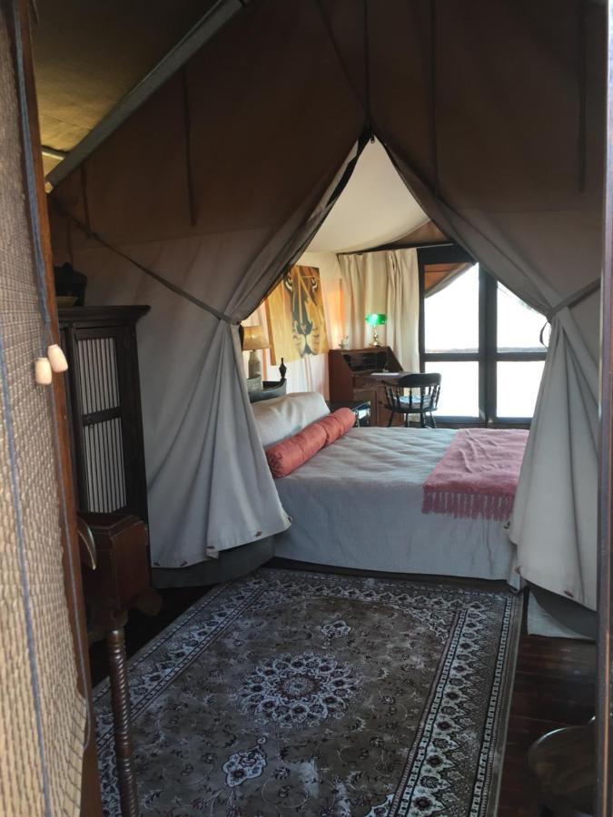 Out In Africa Wildlife Lodge Hammanskraal Kültér fotó